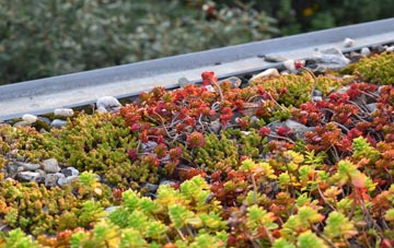 the cost of Upper Basildon green roof installation