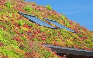 Upper Basildon living roof systems